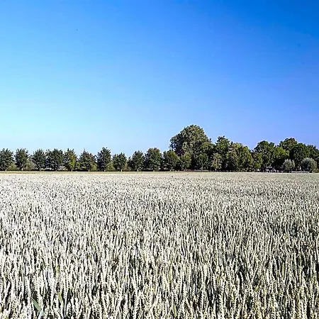 Tranquil In Limburg 2* Margraten